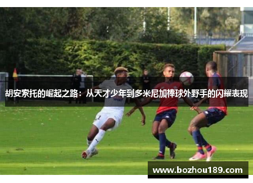 胡安索托的崛起之路：从天才少年到多米尼加棒球外野手的闪耀表现