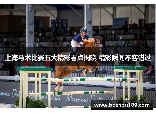 上海马术比赛五大精彩看点揭晓 精彩瞬间不容错过