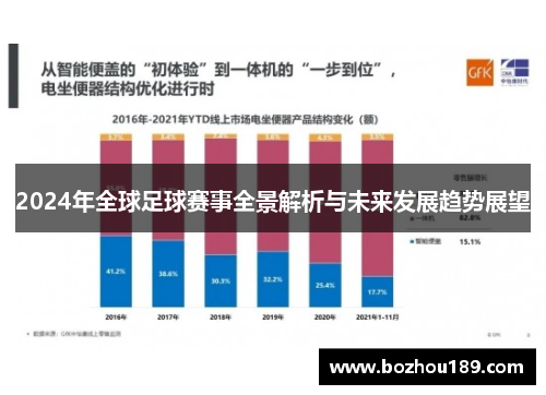 2024年全球足球赛事全景解析与未来发展趋势展望