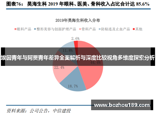 埃因青年与阿贾青年差异全面解析与深度比较视角多维度探索分析