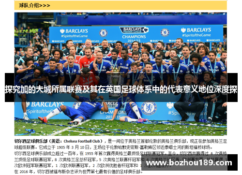探究加的夫城所属联赛及其在英国足球体系中的代表意义地位深度探