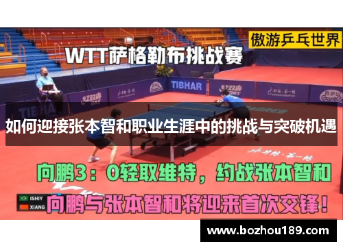 如何迎接张本智和职业生涯中的挑战与突破机遇
